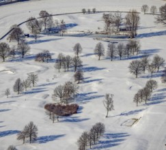 Aerial view, heart-shaped bushes in a winter landscape in the golf course of Raffelberg racecourse,