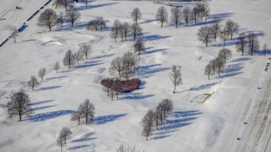Aerial view, heart-shaped bushes in a winter landscape in the golf course of Raffelberg racecourse,