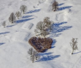 Aerial view, heart-shaped bushes in a winter landscape in the golf course of Raffelberg racecourse,