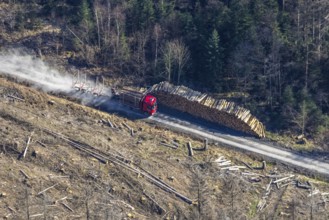 Forest damage, timber storage site and removal by lorry in the forest area near Neuhaus,