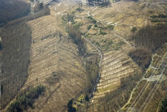 Forest damage and clear cutting, Brachbach, Siegerland, Rhineland-Palatinate, Germany, 2 bridges