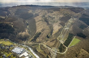 Forest damage and clear cutting, Brachbach, Siegerland, Rhineland-Palatinate, Germany, 2 bridges