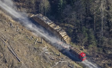 Forest damage, timber storage site and removal by lorry in the forest area near Neuhaus,