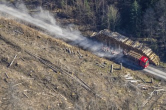 Forest damage, timber storage site and removal by lorry in the forest area near Neuhaus,