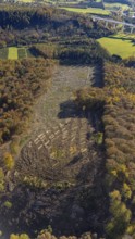 Aerial view, forest area with forest damage in the district Wennemen in Meschede, Sauerland, North
