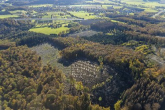 Aerial view, forest area with forest damage in the district Wennemen in Meschede, Sauerland, North