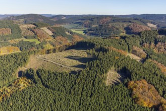 Aerial view, forest area with forest damage in the district Calle in Meschede, Sauerland, North