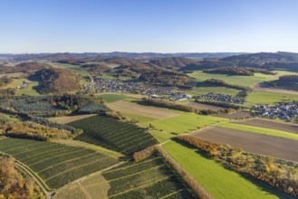 Aerial view, meadows and fields with St. Severinus parish church in the district of Calle in