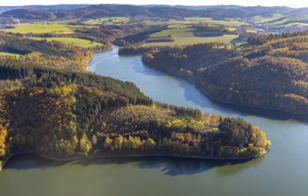 Aerial view, Hennesee in autumn colours in the district Berghausen in Meschede, Sauerland, North
