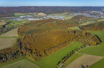 Aerial view, forest area in autumn colours at the industrial area Enste in the district Berghausen