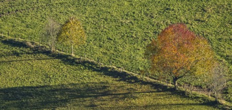 Aerial view, Golden October, hut at the forest and autumnal trees in a meadow in the district