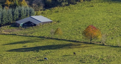 Aerial view, Golden October, hut at the forest and autumnal trees in a meadow in the district