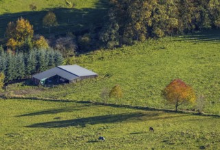 Aerial view, Golden October, hut at the forest and autumnal trees in a meadow in the district