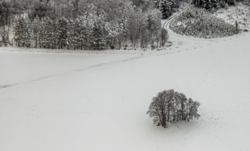 Aerial view of the winter landscape in Mosebolle with a group of trees and tracks in the snow near