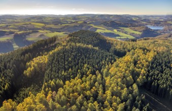 Aerial view, forest in autumn colours of a hilly landscape in Meschede town in Meschede, Sauerland,