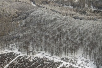 Aerial view of the Arnsberg Forest near Meschede in winter with snow in the Sauerland in North
