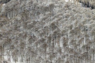 Aerial view of the Arnsberg Forest near Meschede in winter with snow in the Sauerland in North