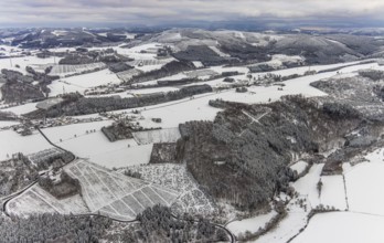 Aerial view of the winter landscape in Mosebolle with riding stable near Meschede in winter with