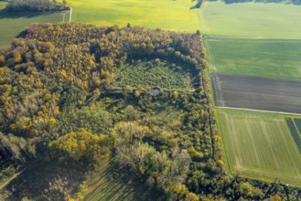 Aerial view, landfill at Koksbeyweg in the district Ostsümmern in Menden, Sauerland, North