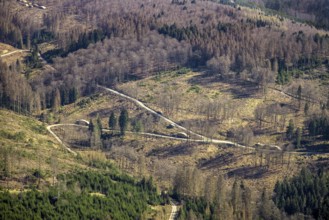 Aerial photo, forest damage and forest dieback, Wennemer Höhweg, Wennemen, Meschede, Sauerland,