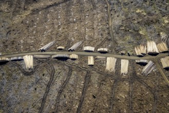 Aerial photo, forest damage and forest dieback, Wennemer Höhweg, Wennemen, Meschede, Sauerland,