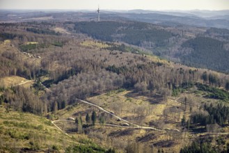 Aerial photo, forest damage and forest dieback, Wennemer Höhweg, Wennemen, Meschede, Sauerland,
