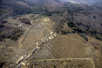 Aerial photo, forest damage and forest dieback, Wennemer Höhweg, Wennemen, Meschede, Sauerland,
