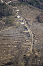 Aerial photo, forest damage and forest dieback, Wennemer Höhweg, Wennemen, Meschede, Sauerland,
