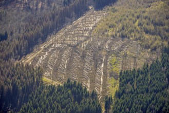 Aerial photo, forest damage and forest dieback, Wennemer Höhweg, Wennemen, Meschede, Sauerland,