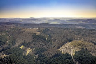 Aerial photo, forest damage and forest dieback, Wennemer Höhweg, Wennemen, Meschede, Sauerland,