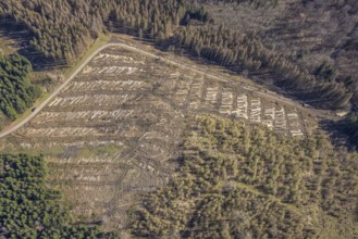 Aerial photo, forest damage and forest dieback, Wennemer Höhweg, Wennemen, Meschede, Sauerland,