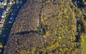 Aerial view, Galbusch Cross Memorial in the forest in Menden, Sauerland, North Rhine-Westphalia,