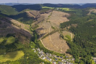 Aerial view, forest area with forest damage, Langenei, Kickenbach, Lennestadt, Sauerland, North