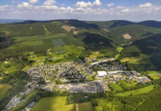 Aerial view, local view Saalhausen, Lennestadt, Sauerland, North Rhine-Westphalia, Germany, tree