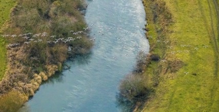 Aerial view of the national nature reserve Lippeauen at the river Lippe with the observation hut