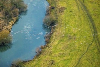 Aerial view of the national nature reserve Lippeauen at the river Lippe with the observation hut