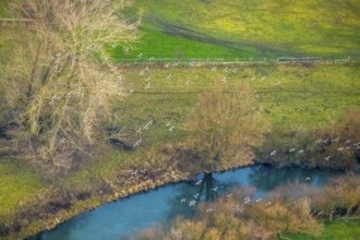 Aerial view of the national nature reserve Lippeauen at the river Lippe with the observation hut