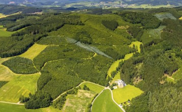 Aerial view, healthy Oberelsper forest, Im Tiefensiepen, Altenvalbert, Lennestadt, Sauerland, North
