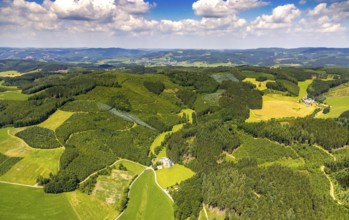 Aerial view, healthy Oberelsper forest, Im Tiefensiepen, Altenvalbert, Lennestadt, Sauerland, North