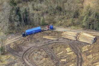 Aerial view, harvester and lorry removal, forest damage at Kihlenberg, Kruberg, Kirchhundem,