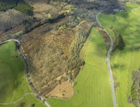 Aerial view, forest damage at Kihlenberg, Kruberg, Kirchhundem, Sauerland, Olpe district, North