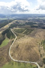 Aerial view, forest damage at Kihlenberg, Kruberg, Kirchhundem, Sauerland, Olpe district, North