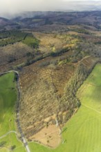 Aerial view, forest damage at Kihlenberg, Kruberg, Kirchhundem, Sauerland, Olpe district, North