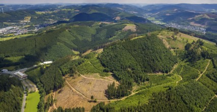 Aerial view, forest area with forest damage near Benolpe, Bilstein, Kirchhundem, Sauerland, North