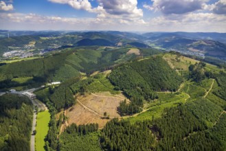 Aerial view, forest area with forest damage near Benolpe, Bilstein, Kirchhundem, Sauerland, North