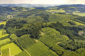 Aerial photo, mill undermining, healthy Oberelsper forest, Im Tiefensiepen, Altenvalbert,