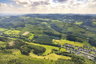 Aerial photo, Mühlenuntergraben, Oberelsper forest with forest damage, Altenvalbert, Lennestadt,