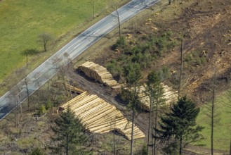 Aerial photo, forest damage at Kihlenberg, wood pile, damaged wood, Kruberg, Kirchhundem,
