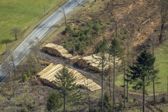 Aerial photo, forest damage at Kihlenberg, wood pile, damaged wood, Kruberg, Kirchhundem,