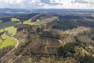 Aerial view, forest damage at Kihlenberg, Kruberg, Kirchhundem, Sauerland, Olpe district, North